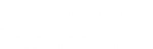 FSM Logo white